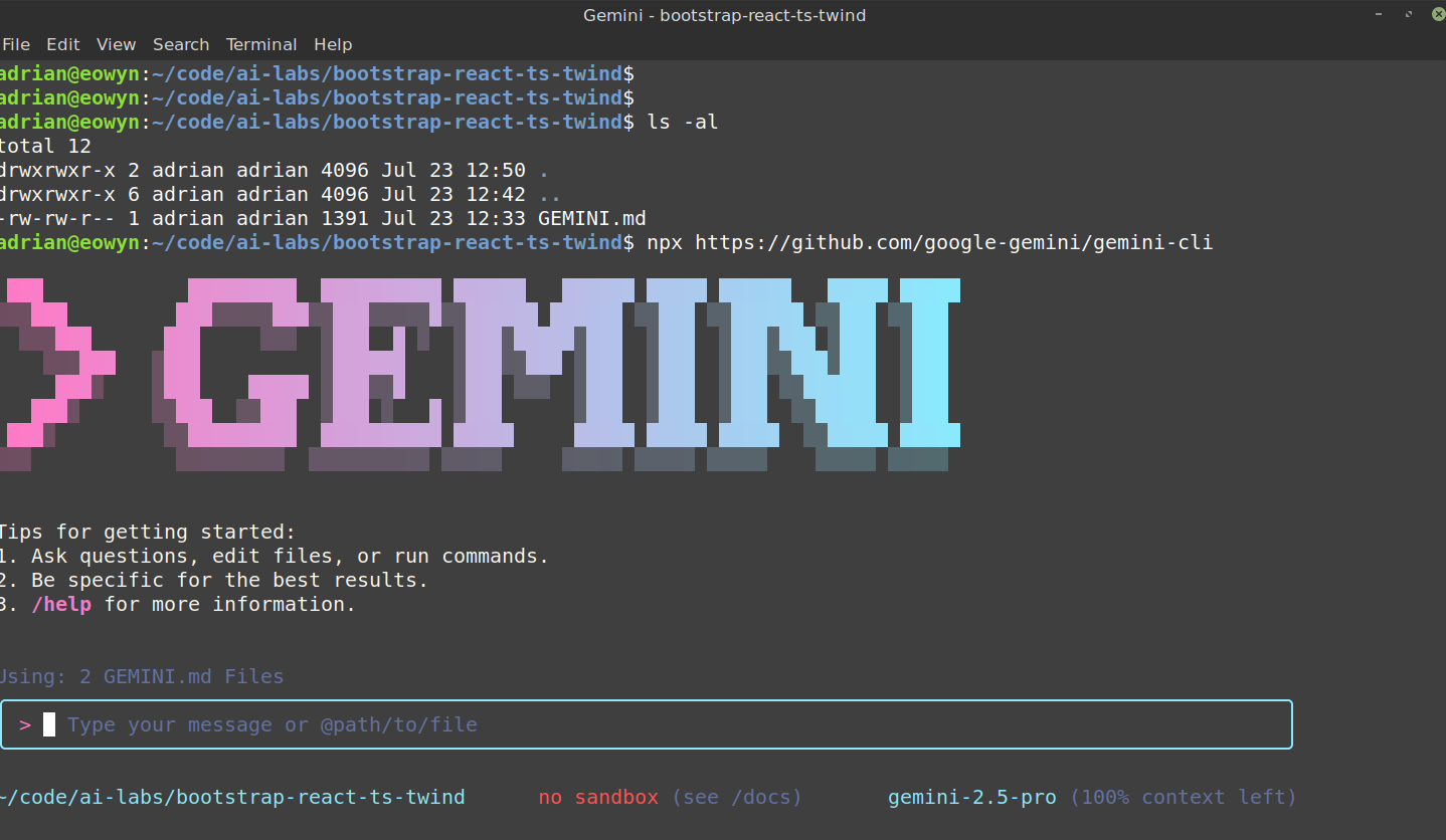 gemini-cli-console